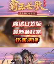 金秋宠伤害测评视频